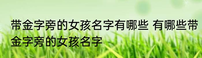 带金字旁的女孩名字有哪些 有哪些带金字旁的女孩名字