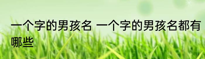 一个字的男孩名 一个字的男孩名都有哪些