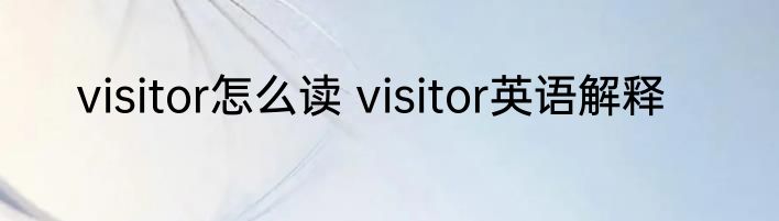 visitor怎么读 visitor英语解释
