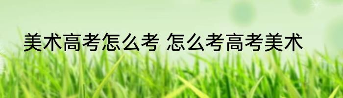 美术高考怎么考 怎么考高考美术