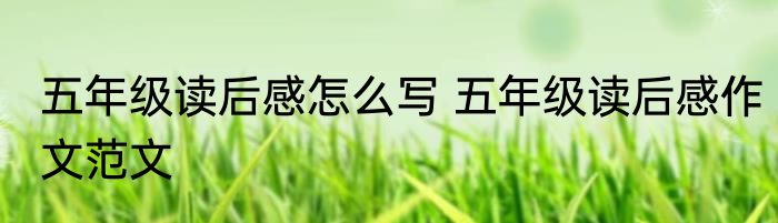 五年级读后感怎么写 五年级读后感作文范文