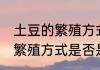 土豆的繁殖方式是出芽生殖吗 土豆的繁殖方式是否是出芽生殖