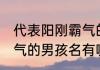 代表阳刚霸气的男孩名字 代表阳刚霸气的男孩名有哪些