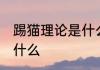 踢猫理论是什么意思 踢猫理论意思是什么