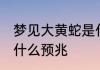 梦见大黄蛇是什么意思 梦见大黄蛇是什么预兆