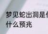 梦见蛇出洞是什么意思 梦见蛇出洞是什么预兆