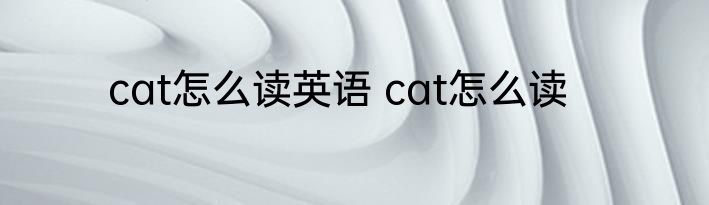 cat怎么读英语 cat怎么读