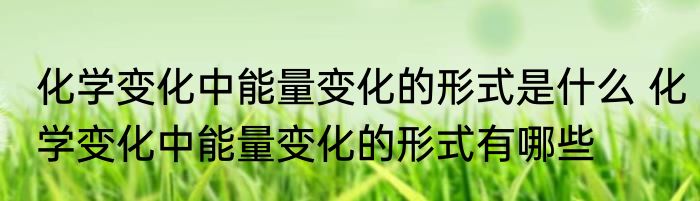 化学变化中能量变化的形式是什么 化学变化中能量变化的形式有哪些