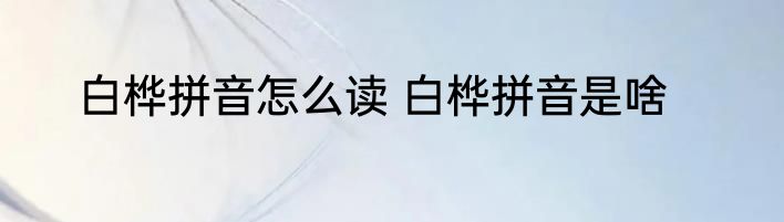 白桦拼音怎么读 白桦拼音是啥