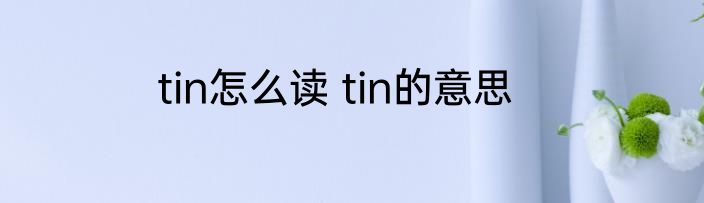 tin怎么读 tin的意思