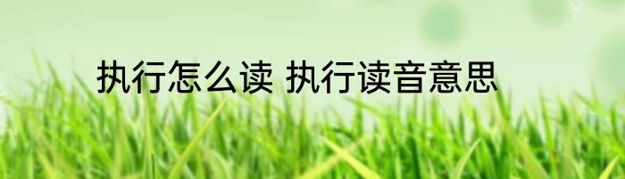 执行怎么读 执行读音意思