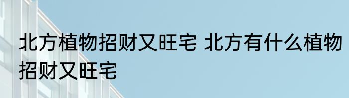 北方植物招财又旺宅 北方有什么植物招财又旺宅
