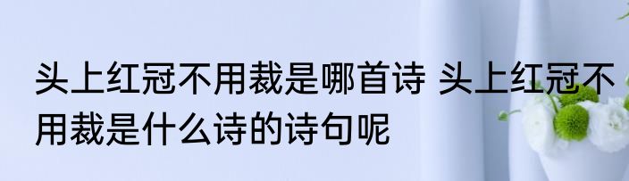 头上红冠不用裁是哪首诗 头上红冠不用裁是什么诗的诗句呢