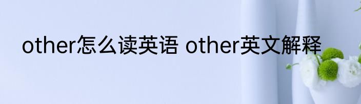 other怎么读英语 other英文解释
