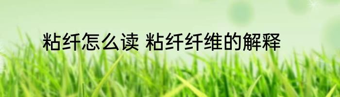 粘纤怎么读 粘纤纤维的解释