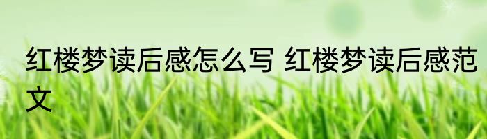 红楼梦读后感怎么写 红楼梦读后感范文