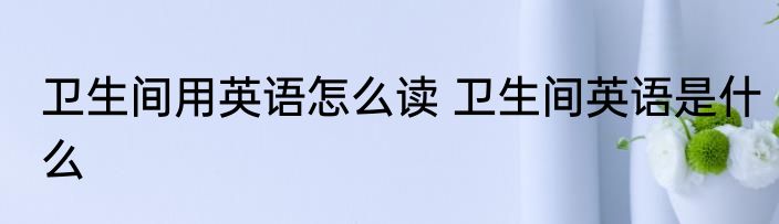 卫生间用英语怎么读 卫生间英语是什么