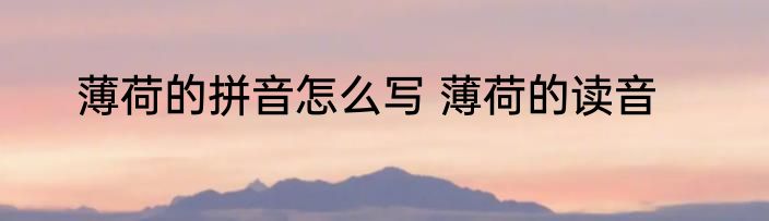 薄荷的拼音怎么写 薄荷的读音