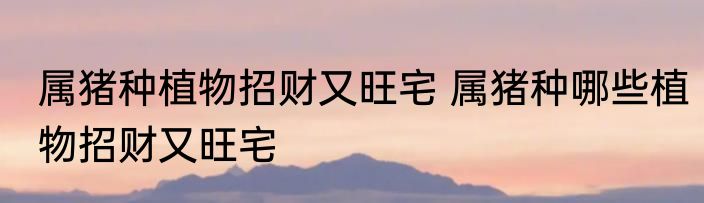 属猪种植物招财又旺宅 属猪种哪些植物招财又旺宅