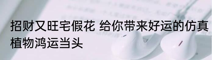 招财又旺宅假花 给你带来好运的仿真植物鸿运当头