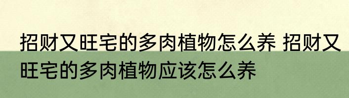 招财又旺宅的多肉植物怎么养 招财又旺宅的多肉植物应该怎么养