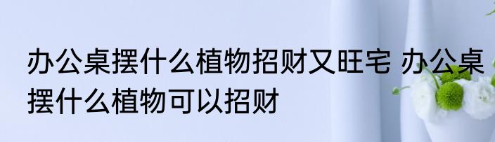 办公桌摆什么植物招财又旺宅 办公桌摆什么植物可以招财