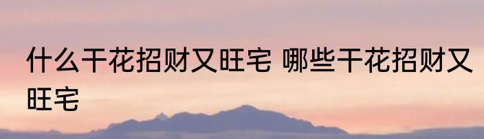 什么干花招财又旺宅 哪些干花招财又旺宅