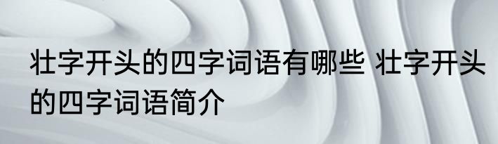 壮字开头的四字词语有哪些 壮字开头的四字词语简介