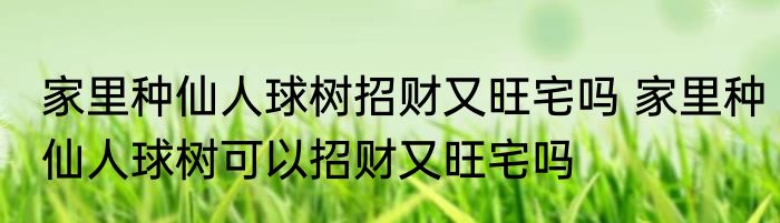 家里种仙人球树招财又旺宅吗 家里种仙人球树可以招财又旺宅吗
