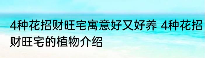 4种花招财旺宅寓意好又好养 4种花招财旺宅的植物介绍