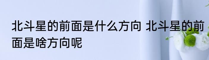 北斗星的前面是什么方向 北斗星的前面是啥方向呢