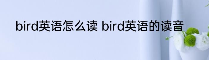 bird英语怎么读 bird英语的读音
