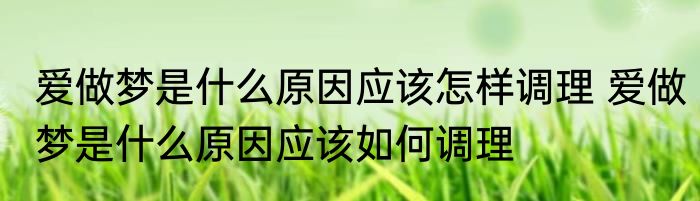 爱做梦是什么原因应该怎样调理 爱做梦是什么原因应该如何调理