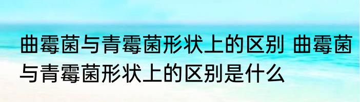 曲霉菌与青霉菌形状上的区别 曲霉菌与青霉菌形状上的区别是什么