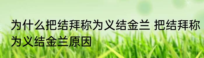 为什么把结拜称为义结金兰 把结拜称为义结金兰原因