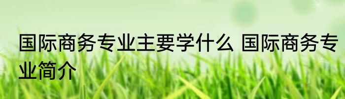 国际商务专业主要学什么 国际商务专业简介