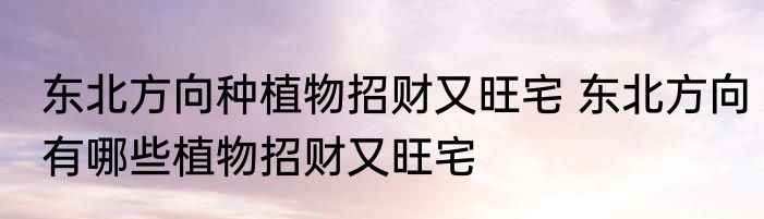 东北方向种植物招财又旺宅 东北方向有哪些植物招财又旺宅