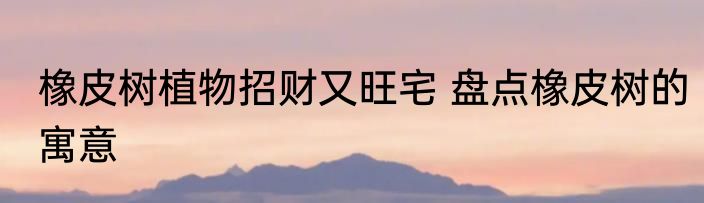 橡皮树植物招财又旺宅 盘点橡皮树的寓意