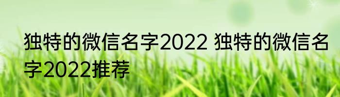 独特的微信名字2022 独特的微信名字2022推荐