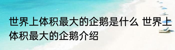 世界上体积最大的企鹅是什么 世界上体积最大的企鹅介绍