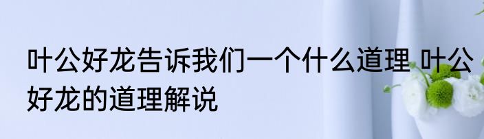 叶公好龙告诉我们一个什么道理 叶公好龙的道理解说