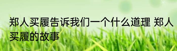 郑人买履告诉我们一个什么道理 郑人买履的故事