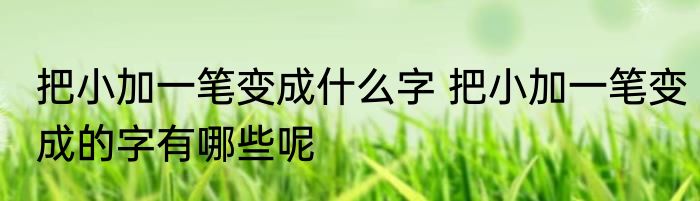 把小加一笔变成什么字 把小加一笔变成的字有哪些呢