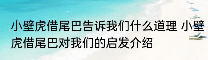 小壁虎借尾巴告诉我们什么道理 小壁虎借尾巴对我们的启发介绍