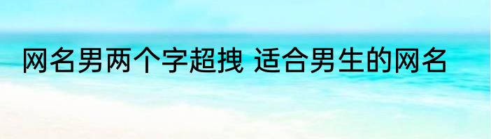 网名男两个字超拽 适合男生的网名