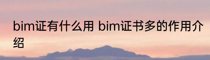 bim证有什么用 bim证书多的作用介绍