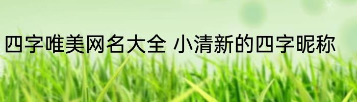 四字唯美网名大全 小清新的四字昵称