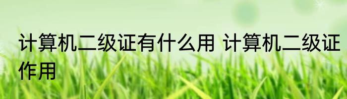 计算机二级证有什么用 计算机二级证作用
