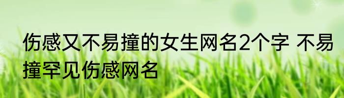 伤感又不易撞的女生网名2个字 不易撞罕见伤感网名