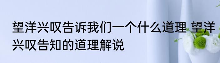望洋兴叹告诉我们一个什么道理 望洋兴叹告知的道理解说